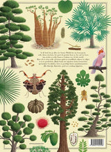 Mondikaarts le grand livre des arbres