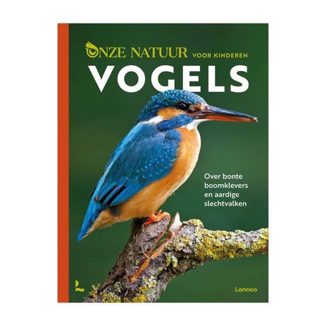Mondi cartes notre nature pour les enfants - oiseaux