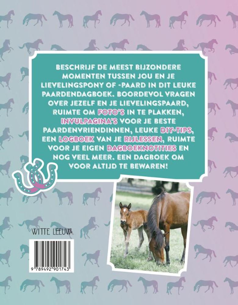 Wpg éditeurs mon journal de cheval