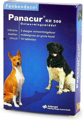 Panacur dog cat