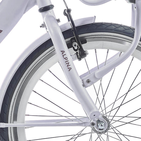Fourche Alpina 20 clubb rose givré mat