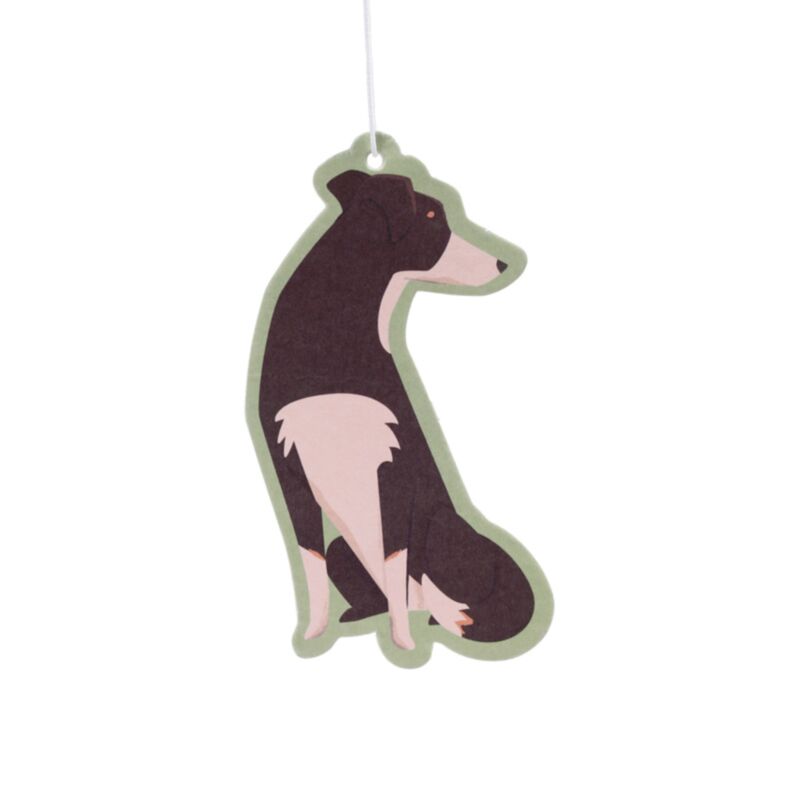 Désodorisant pour chien en écorces de cerises