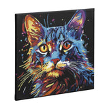 Groupe d'artisanat créatif peinture par numéro toile noire chat, 30x30cm