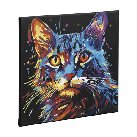 Groupe d'artisanat créatif peinture par numéro toile noire chat, 30x30cm