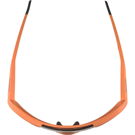 Vêtements de sport olympiques alpina sports lunettes de sport rocket q-lite rose mat