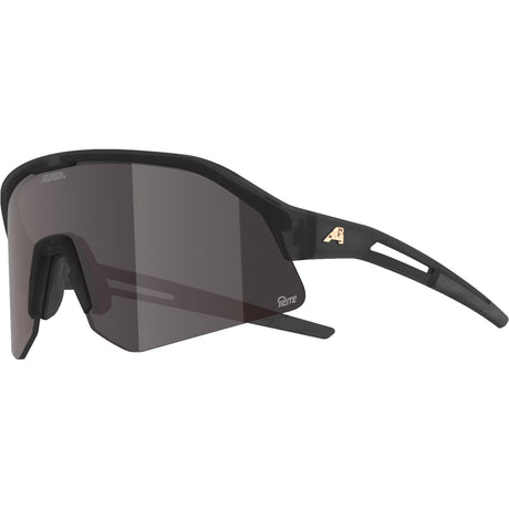 Vêtements de sport olympiques alpina sports lunettes de sport sonic hr m q-lite gris brillant