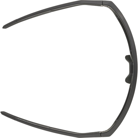Alpina sports lunettes de sport ram q-lite or miroir noir