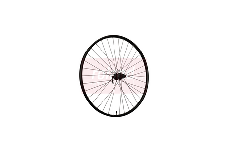 Roue arrière Roland 28 ryde rival21 fhqc300