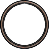 Schwalbe G-One RS Evo Tle Super Race Transparent Skin 28x1.50