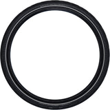 Extérieur de Schwalbe 28-2.15 (55-622) Efficacité du marathon Evo Zw v R