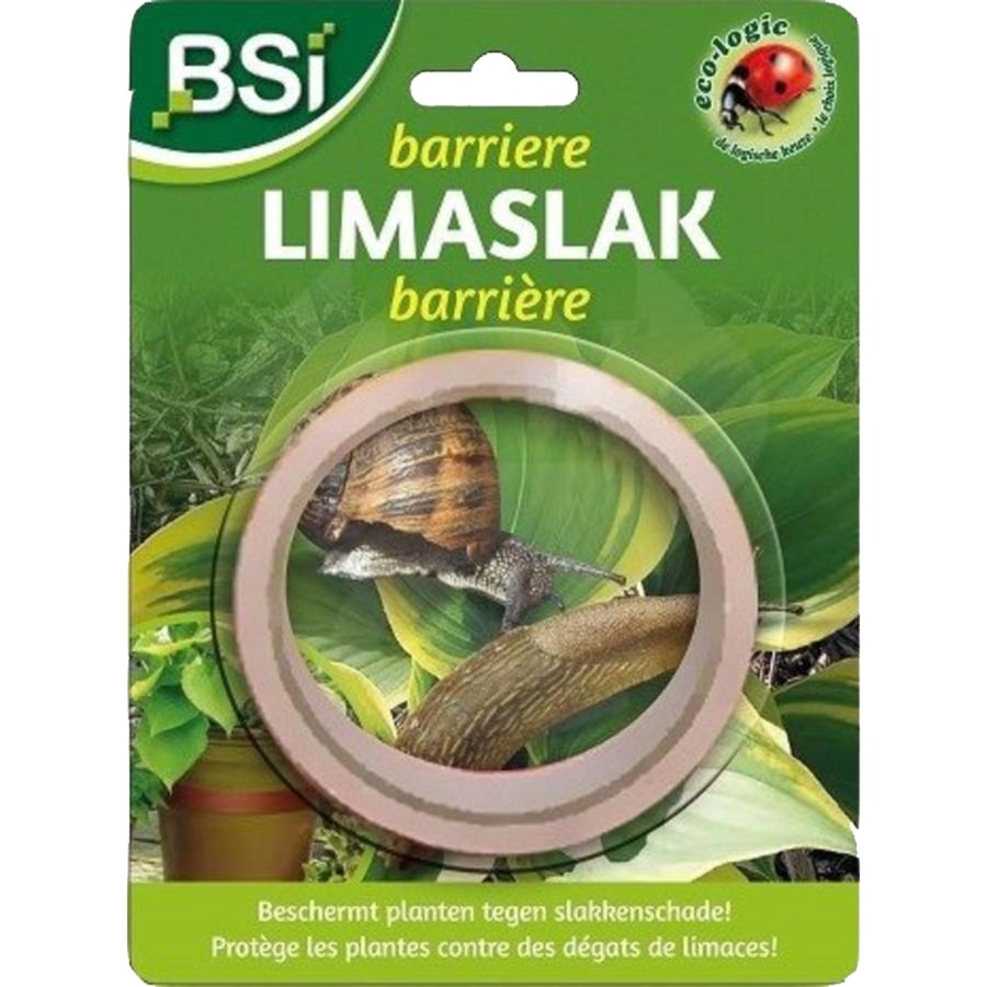 BSI Barriere Limaslak, 5 mètres