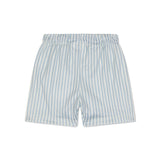 Rayures bleues | Boxer de natation UV bleu et blanc pour garçons