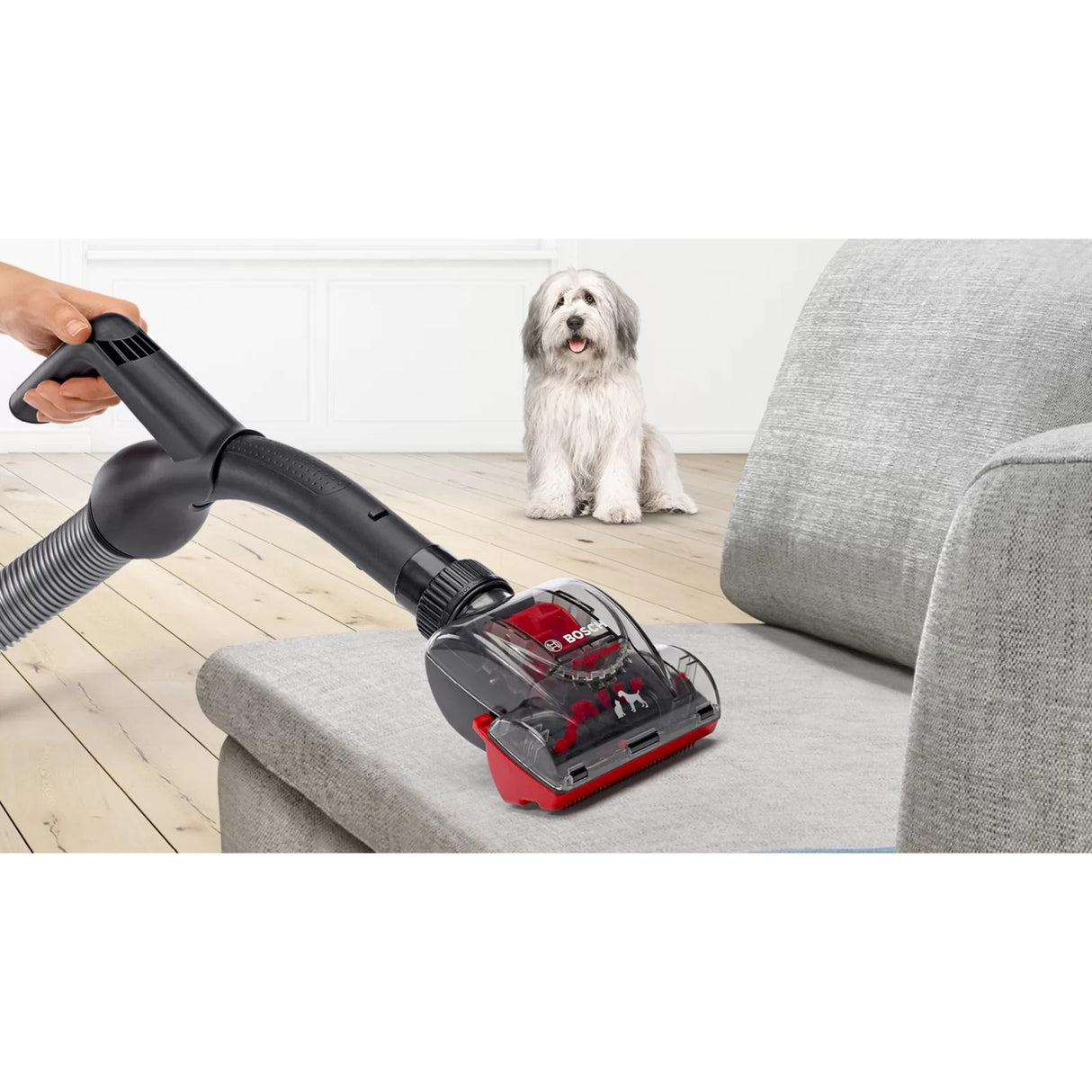 Bosch BGB8PET1 Aspirateur proanimal avec sac
