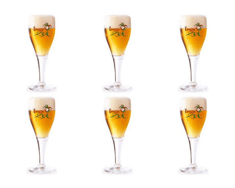 Verre fou de Bruges (6x 33cl)