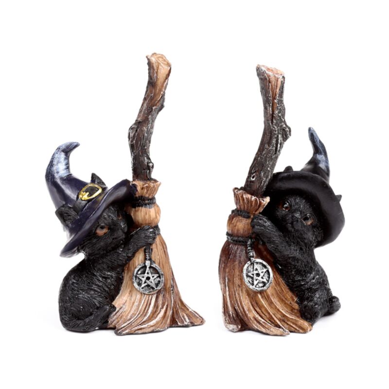 Chat noir sorcière avec balai