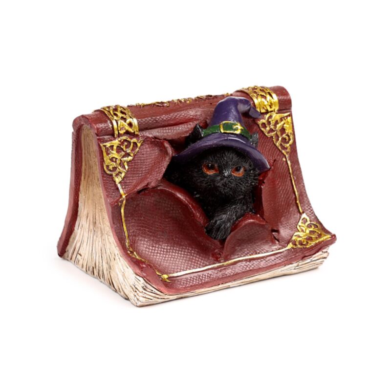 Livre de sorts espiègles du chat noir des sorcières