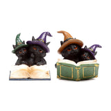 Livre de sorts magiques de chat noir de sorcières