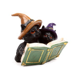 Livre de sorts magiques de chat noir de sorcières