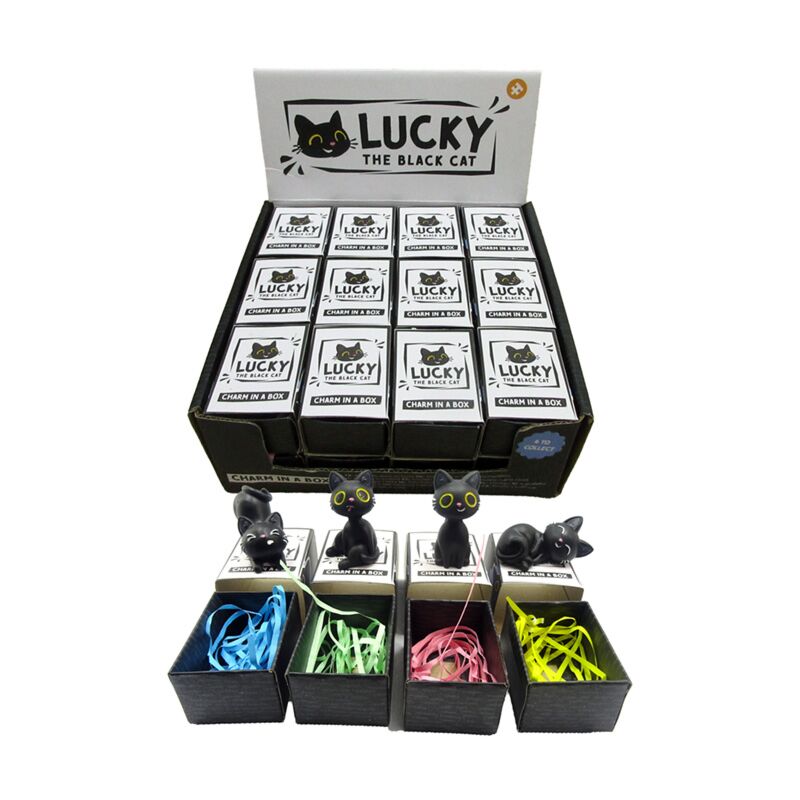 Lucky le charm chat noir en boîte