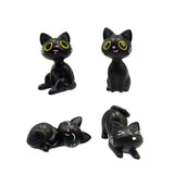 Lucky le charm chat noir en boîte
