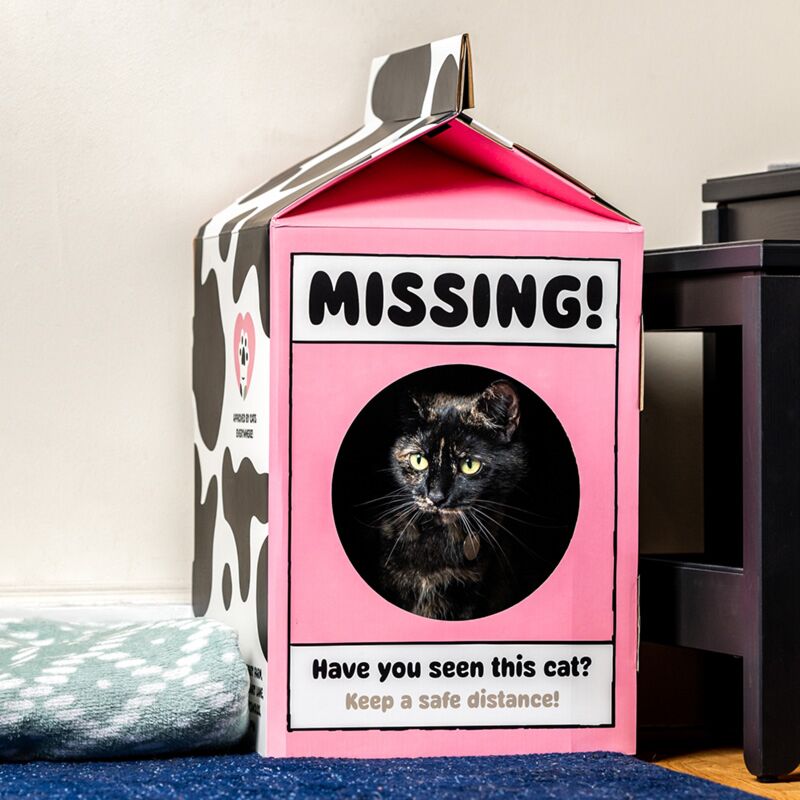 Maisonnette pour chat DIY 100% carton