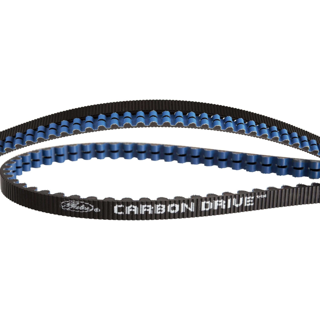 Gates CDX Riem Carbon Drive 125 Zähne schwarz blau