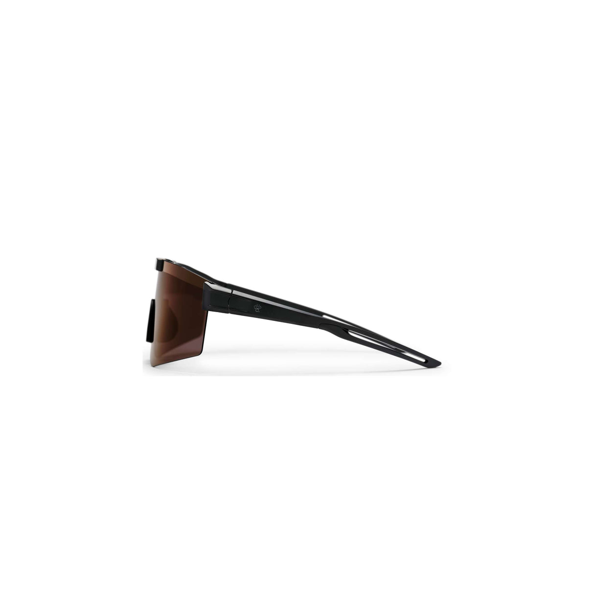 Lunettes Chpo luca noir violet