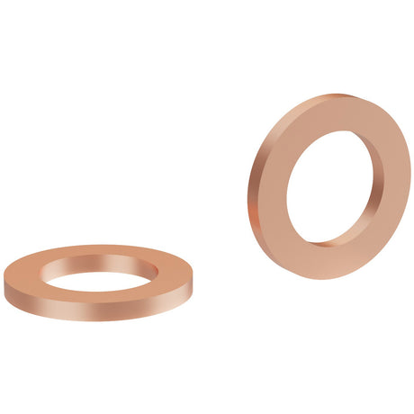 Anneau de phoque Elvedes grand pour Hope Snake (10x) ELV-HP05
