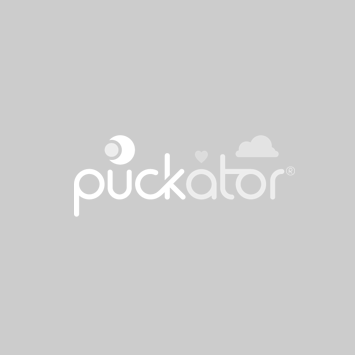 Puch hoodeazzz duc de capybara oreiller de voyage en mousse à mémoire de forme caon