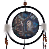 Lisa Parker contes de fées hibou fée attrape-rêves 16cm