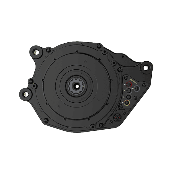 Motinova moteur pegasi de qualité C 36v 250w 80nm cus 125kb-light 6v