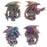 Aimant gothique de crâne de dragon