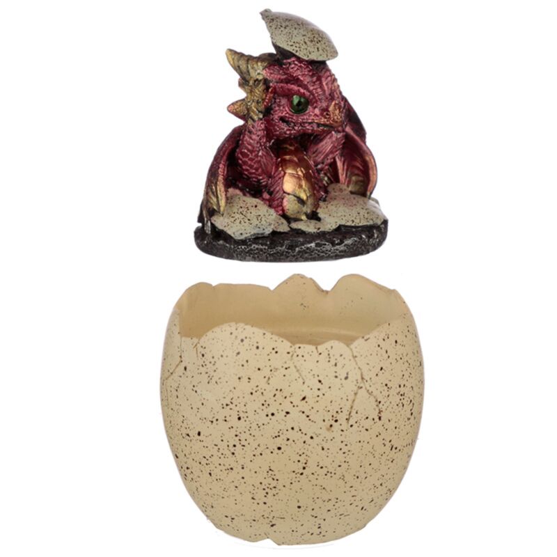 Boîte de rangement pour œufs à couver de dragon Elements