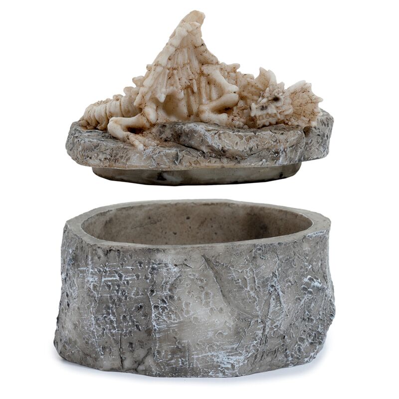 Boîte de rangement squelette de dragon, ombres des ténèbres, os endormis