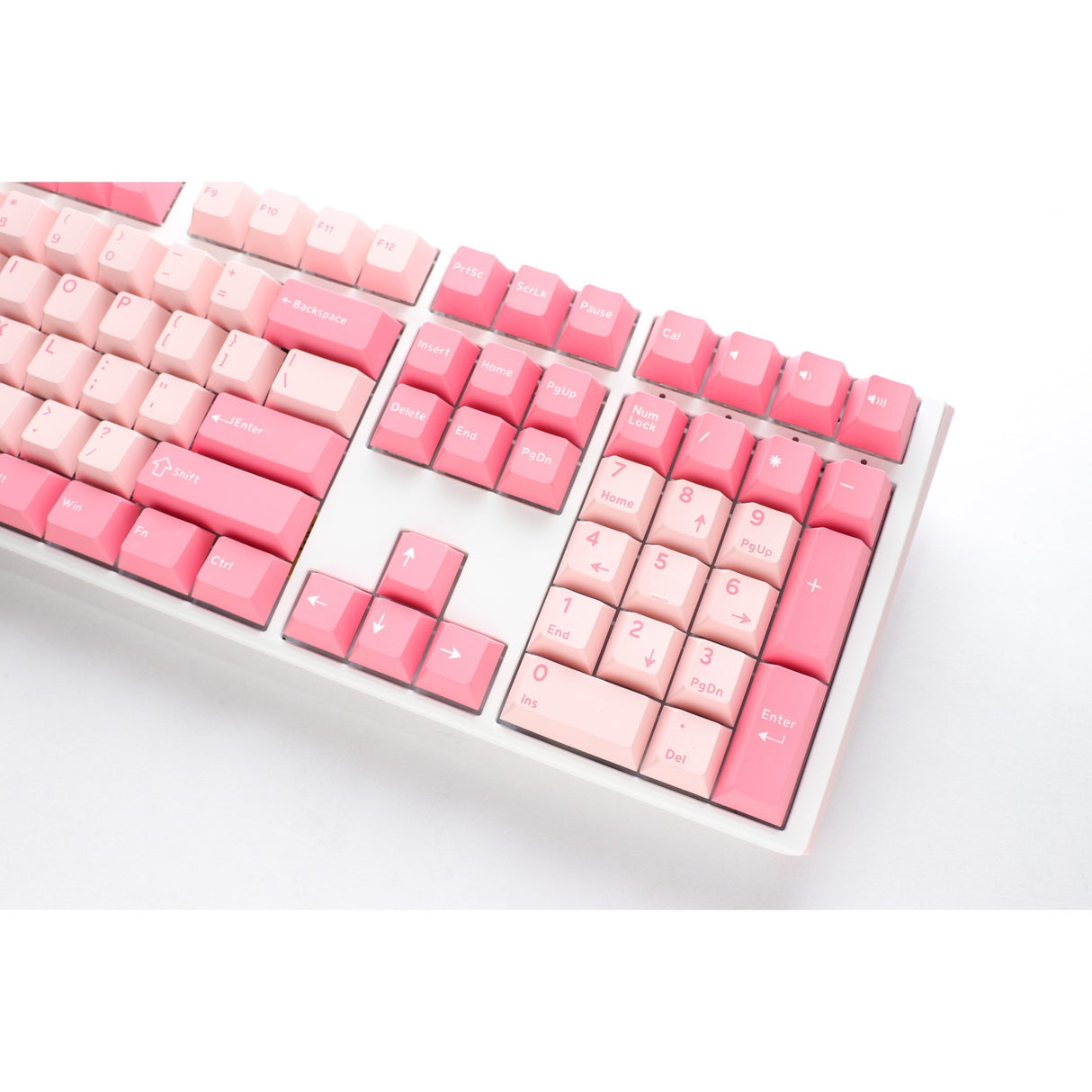 Ducky one 3 Gossamer rose