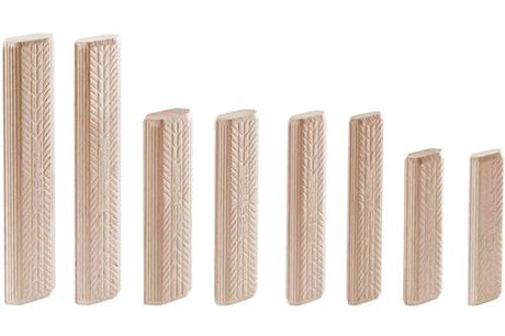 Pierres dominos Festool d 10x100 120