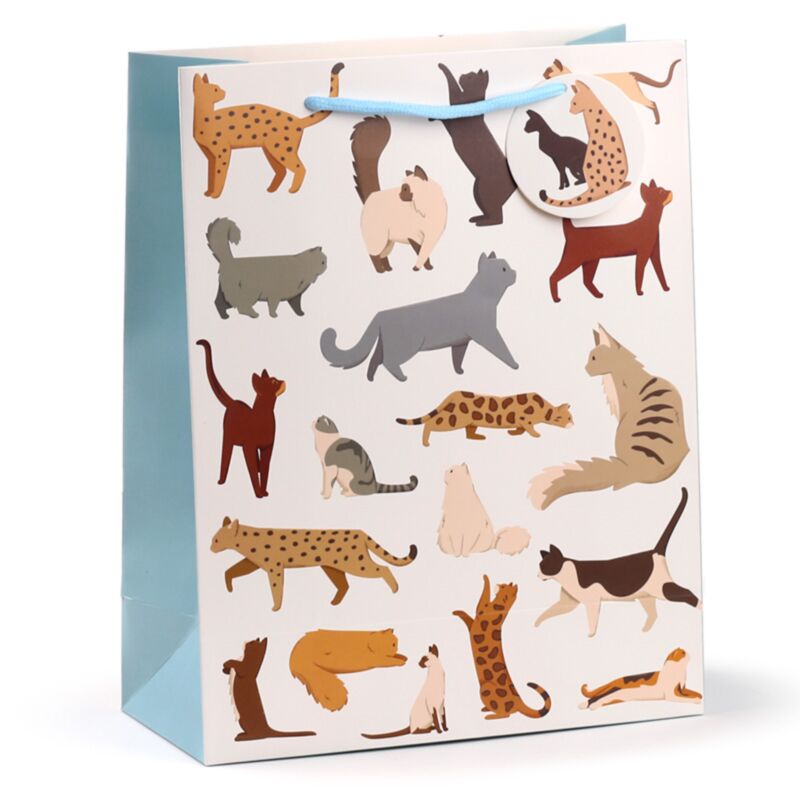 Chats fins félins - sac cadeau grand