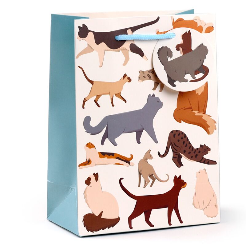 Chats fins félins - sac cadeau moyen