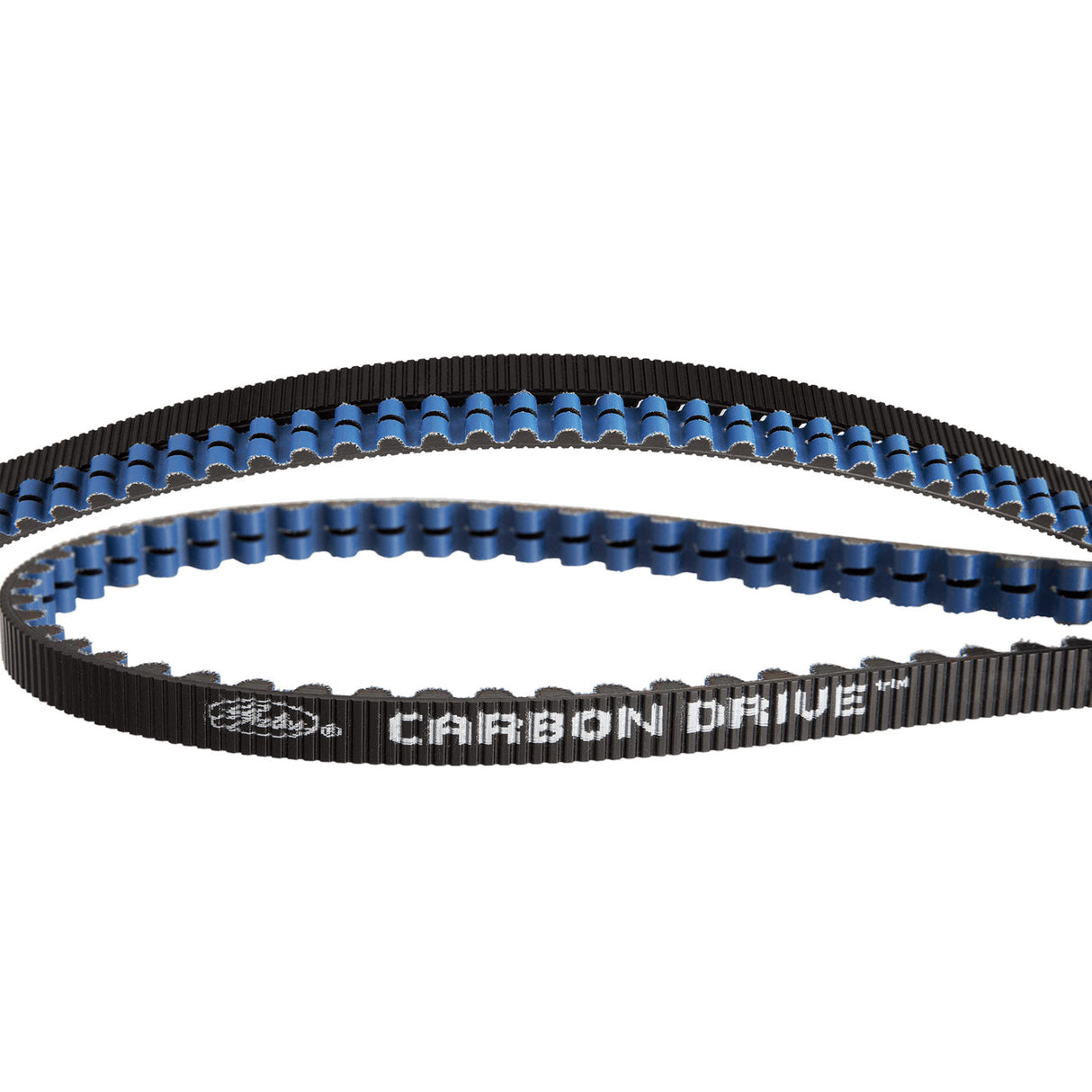 Ceinture CDX 115 dent bleu noir (1265 mm)