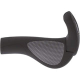 Ergon gère GP2 S Nexus