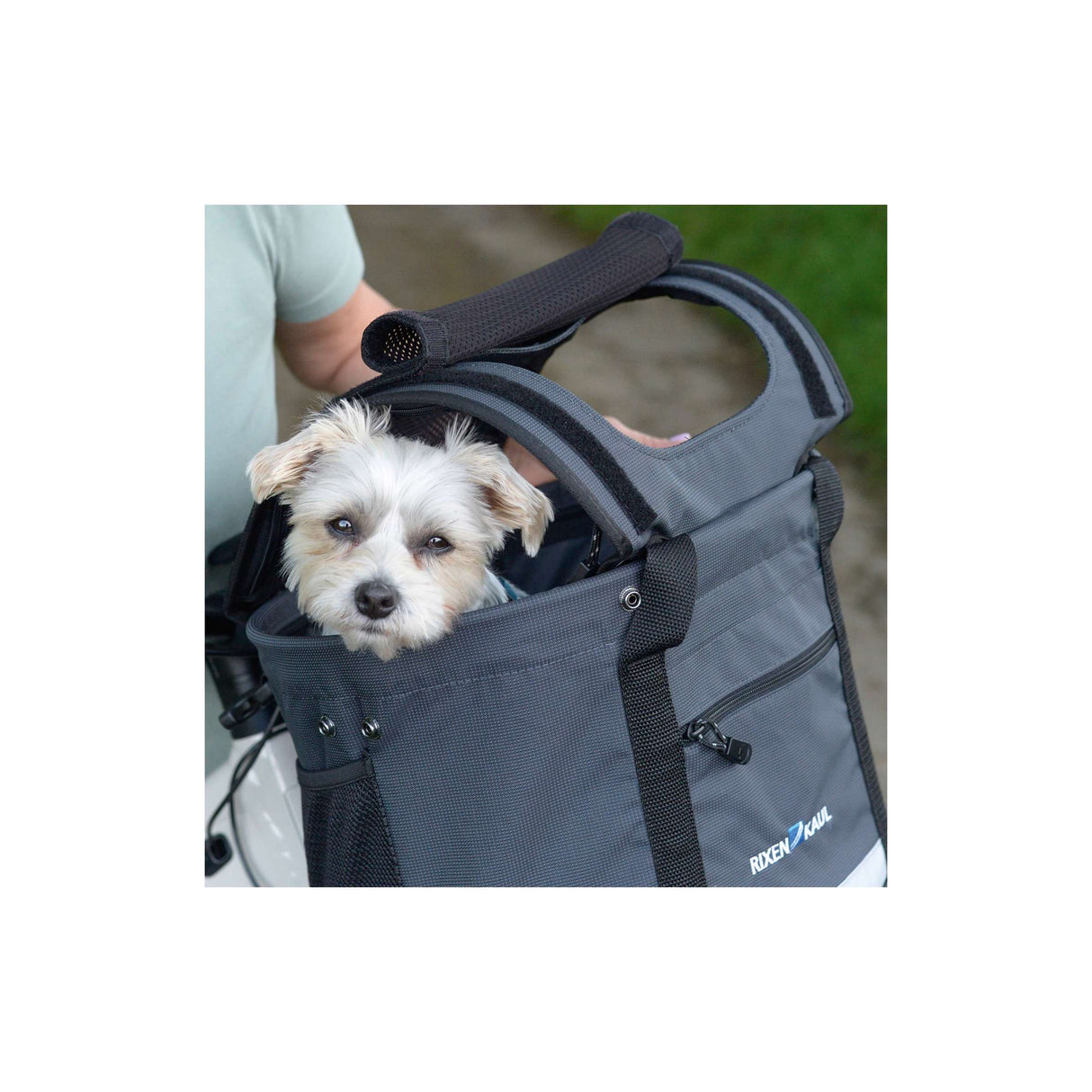 Klickfix parasol chien parasol