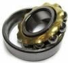 Skf Ball Being E20
