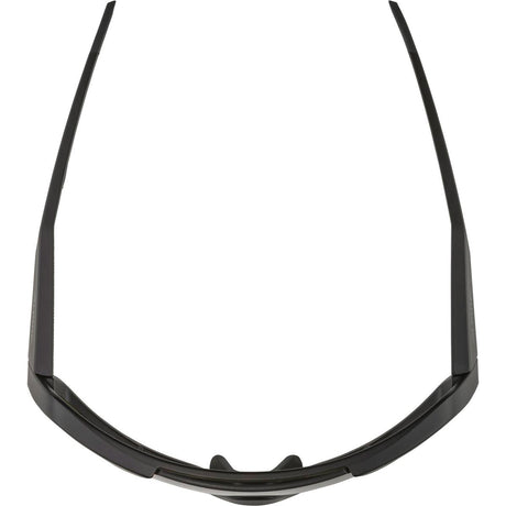 Alpina sports lunettes de sport rocket q-lite noir mat