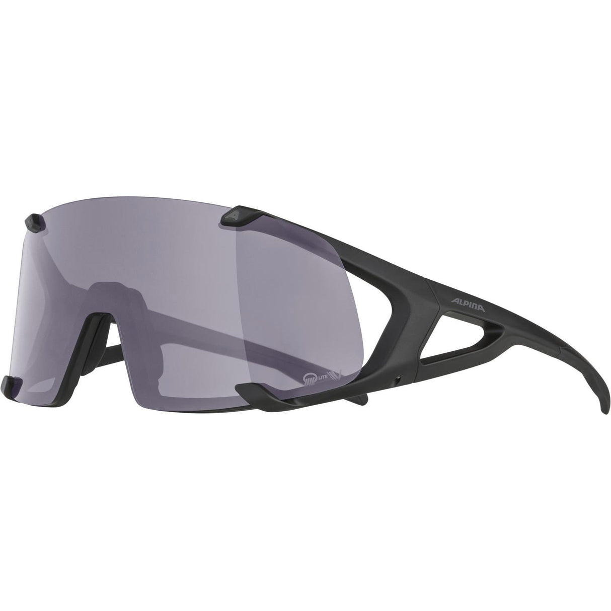 Alpina sports lunettes de sport hawkeye q-lite v noir