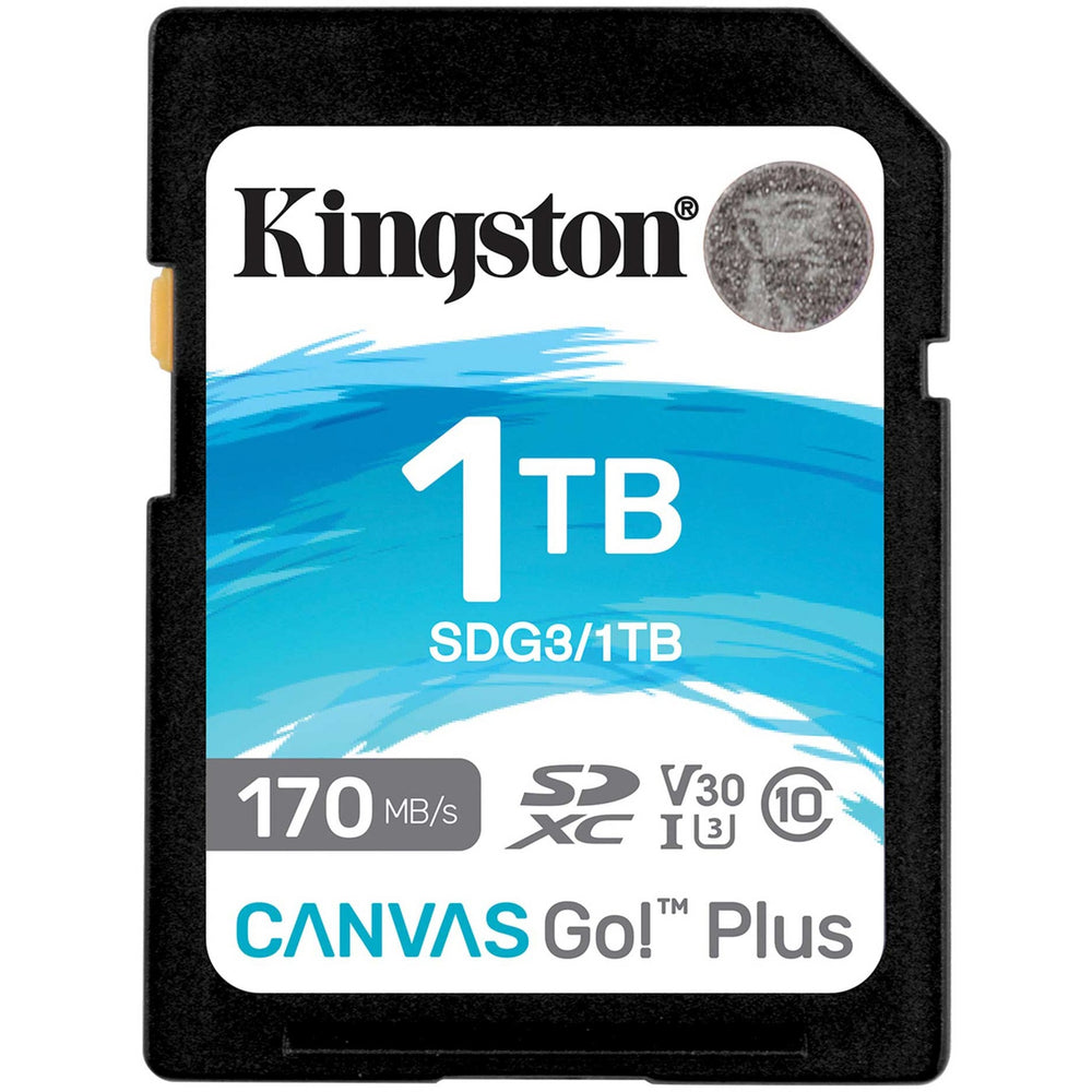 Kingston Canvas Go! Plus sdxc 1 To