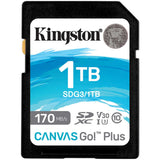 Kingston Canvas Go! Plus sdxc 1 To
