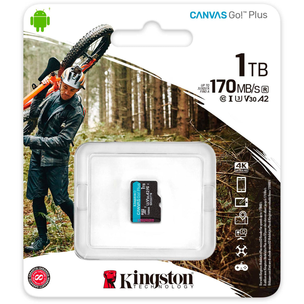 Kingston Canvas Go! Plus microsdxc 1 To