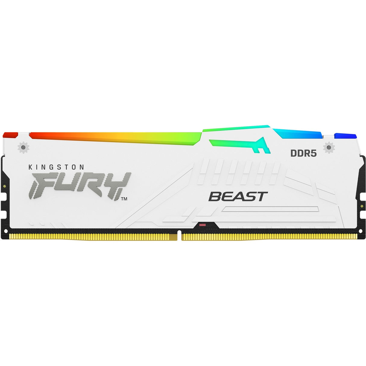 Kingston Fury Kingston Fury 16 Go DDR5-6000