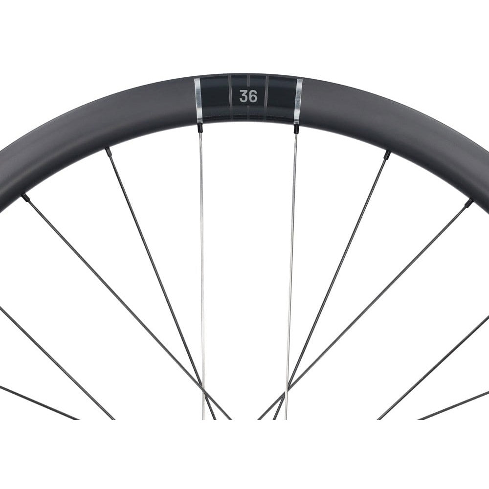 Selle monte grappa miche roues kleos rd team edition 35mm disque tubeless