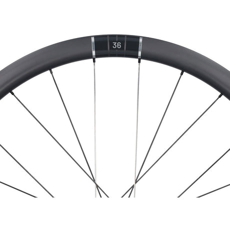 Selle monte grappa miche roues kleos rd team edition 35mm disque tubeless